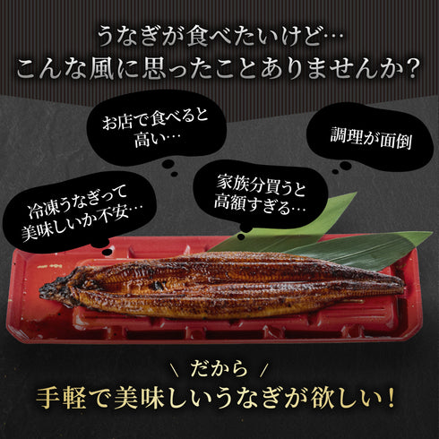 超特大うなぎの蒲焼 1尾約380g