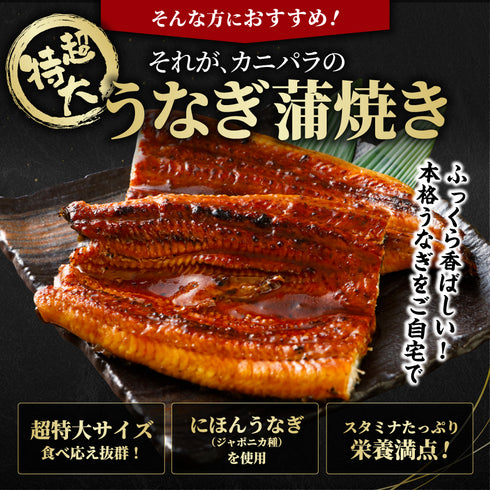 超特大うなぎの蒲焼 1尾約380g