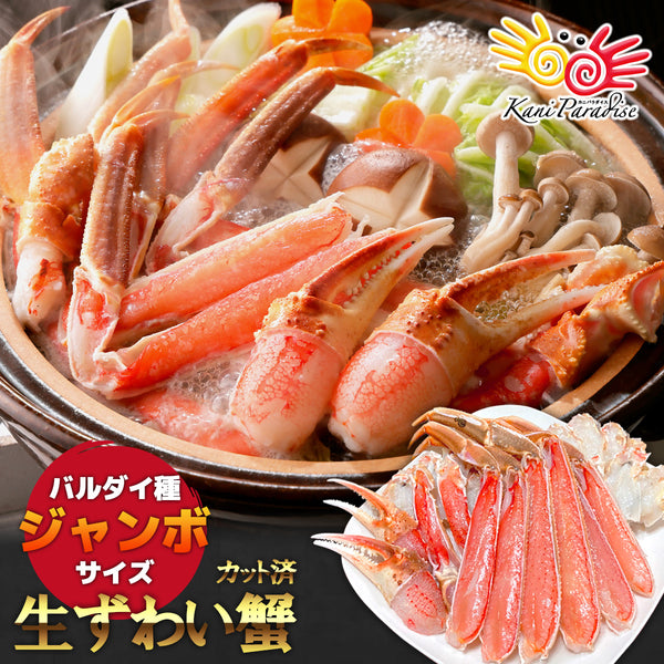 特大サイズ 生ずわいがに むき身セット 総重量750g(正味重量600g)