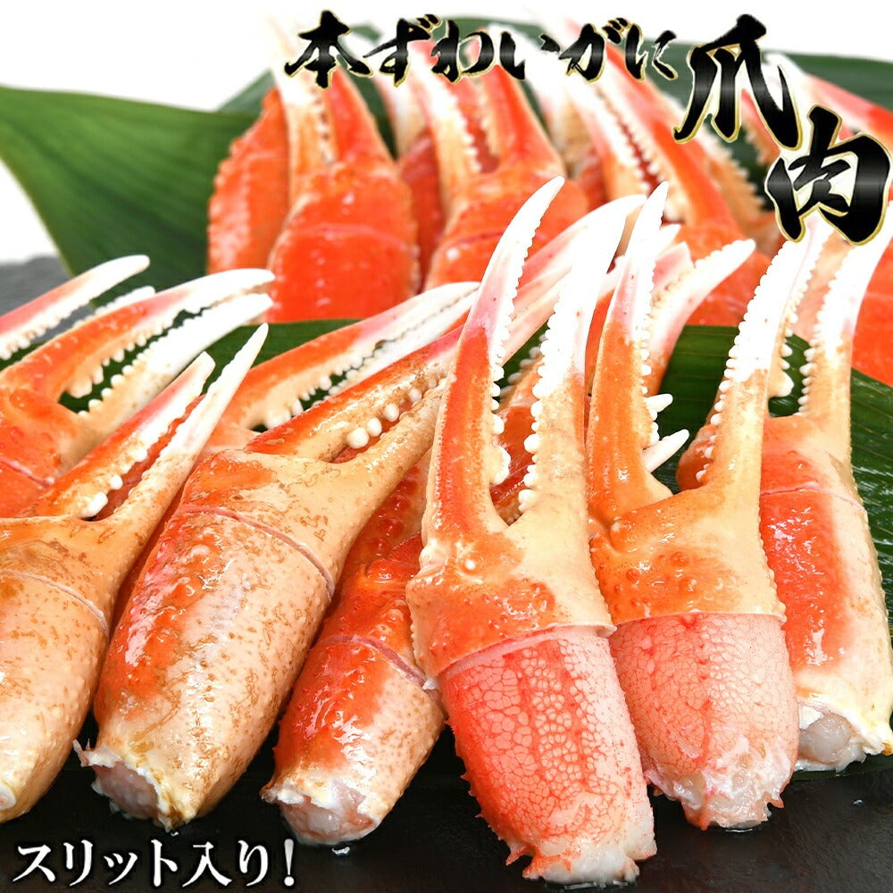 ボイル本ずわいがに爪 約700g(正味重量約490g) – カニパラダイス