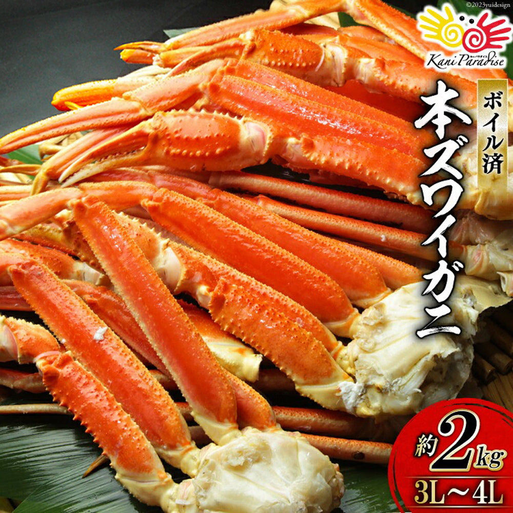 ボイル済 本ずわいがに 特大3L～4L 総重量2kg (正味重量1.6kg