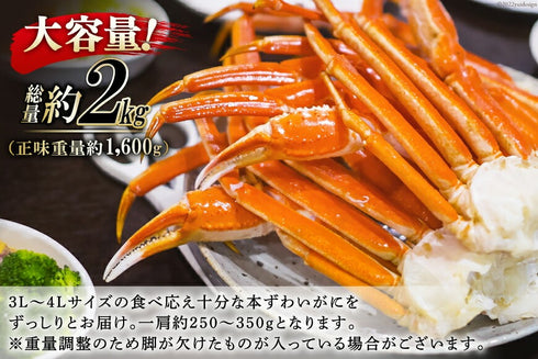 ボイル済 本ずわいがに 特大3L~4L 総重量2kg (正味重量1.6kg)