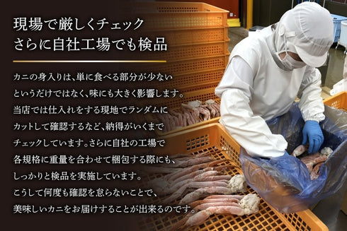 ボイル済 本ずわいがに 特大3L~4L 総重量2kg (正味重量1.6kg)