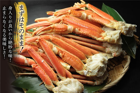 ボイル済 本ずわいがに 特大3L~4L 総重量2kg (正味重量1.6kg)
