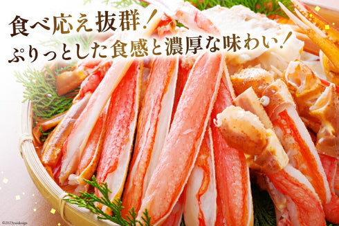 特大サイズ 生ずわいがに むき身セット 総重量750g(正味重量600g)