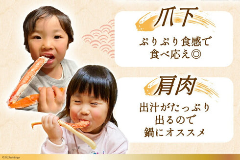特大サイズ 生ずわいがに むき身セット 総重量750g(正味重量600g)