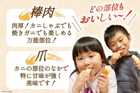 特大サイズ!生ずわいがに むき身セット 総重量1.5kg(750g×2p) 正味重量1.2kg オオズワイガニ