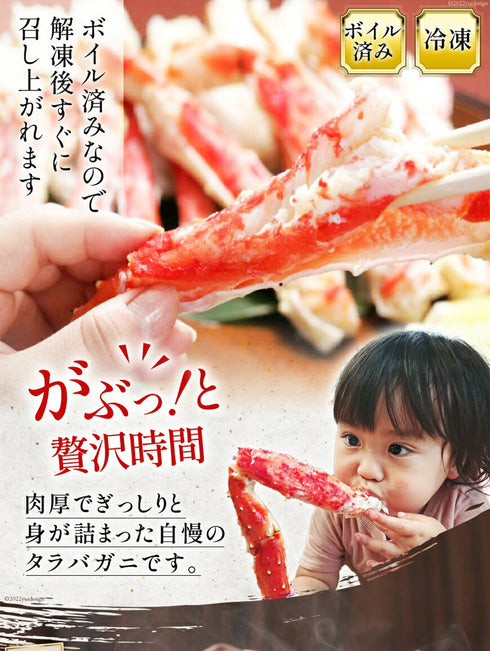 極太本タラバガニ 脚 6L 総重量 約1.3kg