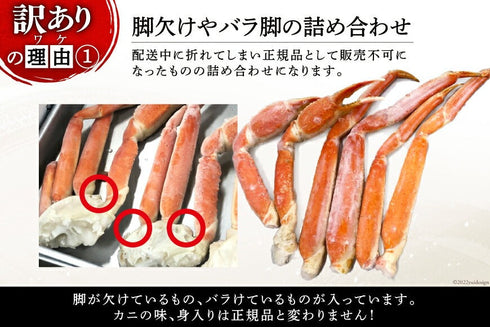 【訳あり】 ボイルずわいがに肩付脚 総重量1kg(正味重量800g) 【サイズ無選別】