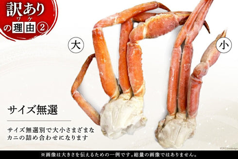 【訳あり】 ボイルずわいがに肩付脚 総重量1kg(正味重量800g) 【サイズ無選別】