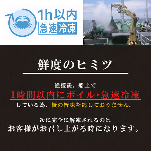 まるずわいがに 肩付脚 1.25kg(正味重量1kg)