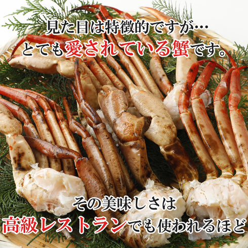 まるずわいがに 肩付脚 1.25kg(正味重量1kg)