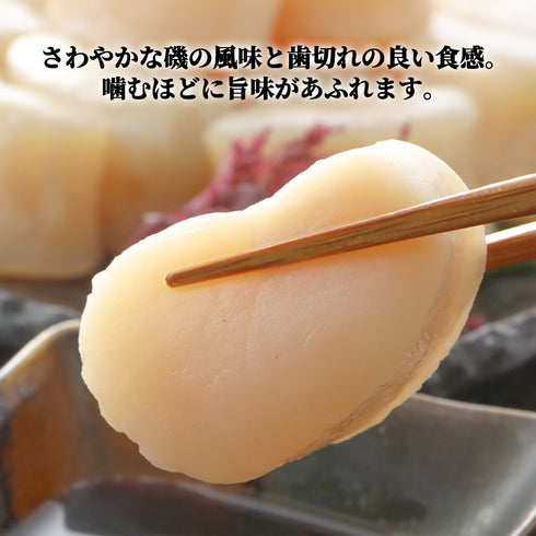 肉厚!平貝 選べる500g ~ 1kg