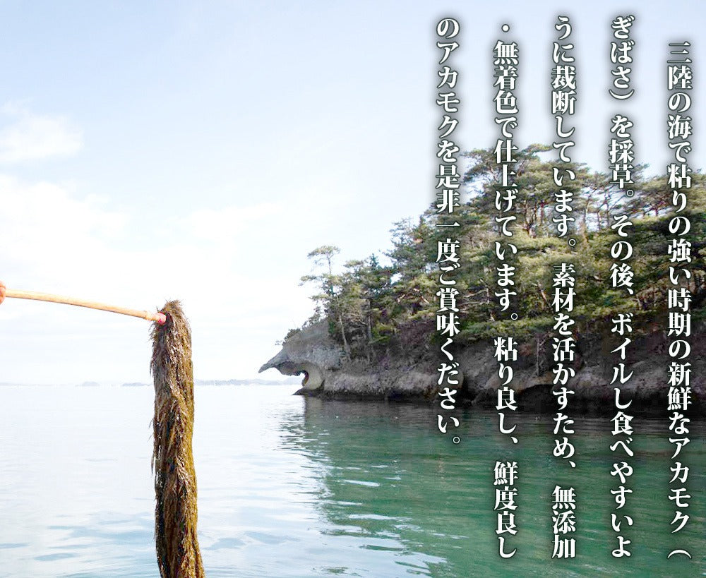 宮城県産 アカモク (ぎばさ) 100g×10パック – カニパラダイス