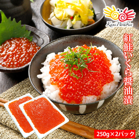 紅鮭いくら醤油漬 500g(250g×2パック)