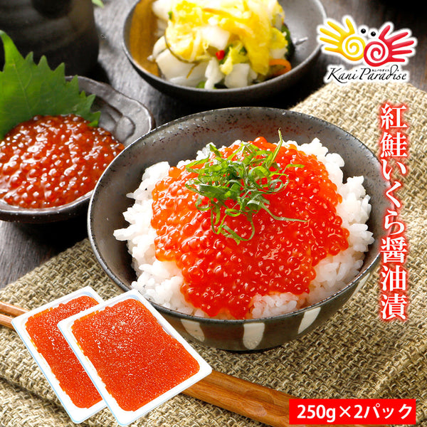 紅鮭いくら醤油漬 500g(250g×2パック)