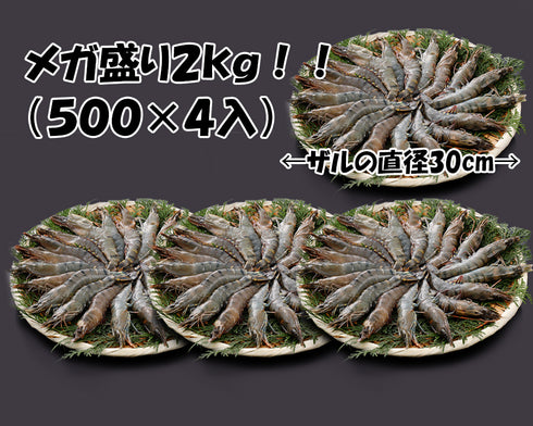 ソフトシェルシュリンプ 500g (500gに約20尾入り)×4パック 【 冷凍品 】