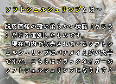 ソフトシェルシュリンプ 500g (500gに約20尾入り) 【 冷凍品 】