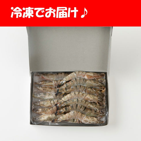 ソフトシェルシュリンプ 500g (500gに約20尾入り) 【 冷凍品 】