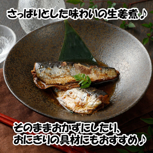真いわし生姜煮 10尾入×3パック(計30尾)