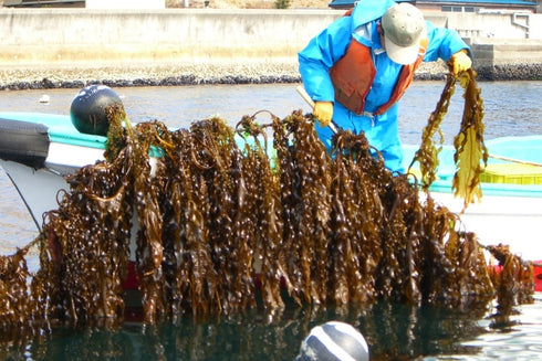 三陸漁師のわかめ汁 1袋4食×2セット 【常温品】