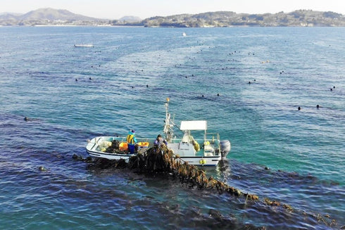 三陸漁師のわかめ汁 1袋4食×2セット 【常温品】