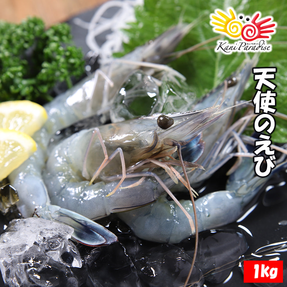 天使のえび 1kg 30/40サイズ (1kgに約30尾～40尾入り) – カニパラダイス