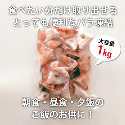 サーモン カマ塩干し 3kg(1kg×3袋) 送料無料【冷凍品】